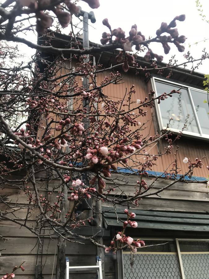 Shabby House Hotel Sapporo Luaran gambar