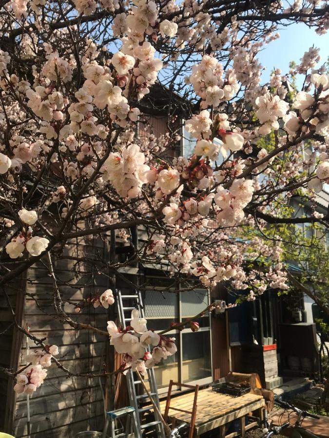 Shabby House Hotel Sapporo Luaran gambar